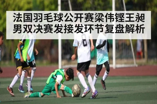 法国羽毛球公开赛梁伟铿王昶男双决赛发接发环节复盘解析