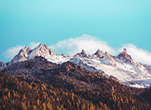 开云体育APP下载-NBA-杜伦30+13坎宁安17+8+15 活塞主场送灰熊7连败